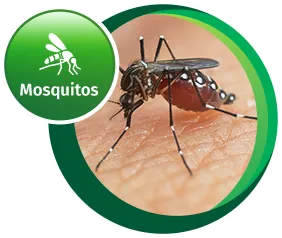 Colt Ambiental - Mosquitos