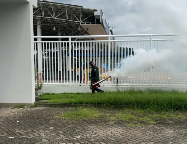 Termonebulização (Fumacê) - Colt Ambiental