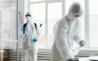 A Importância da Dedetização Profissional para Manter a Saúde e a Qualidade de Vida em Guapimirim