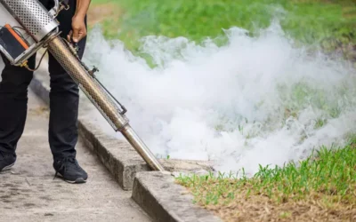 Fumacê Barra da Tijuca: por que contratar uma empresa especializada?
