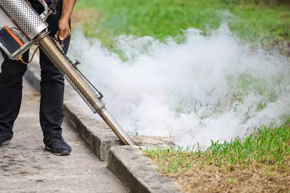 Fumacê Barra da Tijuca: por que contratar uma empresa especializada? Fumacê Barra da Tijuca: por que contratar uma empresa especializada?