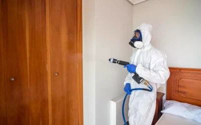 Por que contratar a Colt Ambiental para o controle de pragas na sua empresa no RJ pode evitar prejuízos em 2026