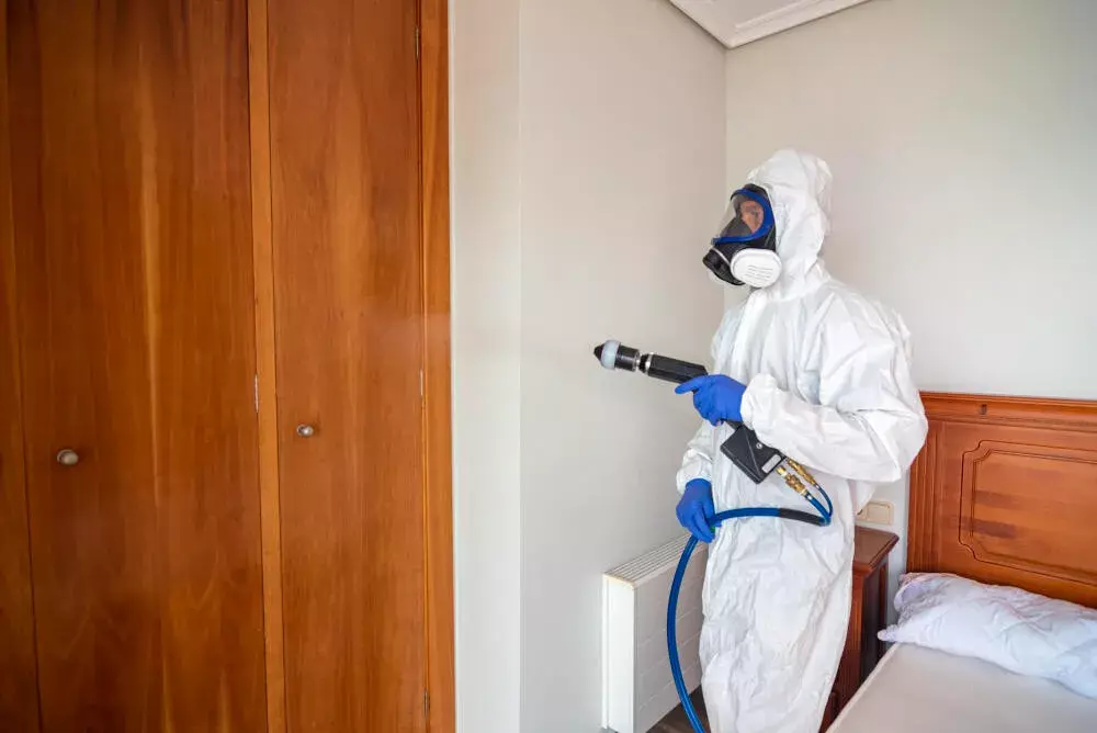 Por que contratar a Colt Ambiental para o controle de pragas na sua empresa no RJ pode evitar prejuízos em 2026